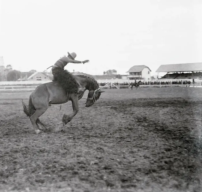 Framed Print : Pat Smith Competing in Rodeo Framed Print : Pat Smith Competing in Rodeo