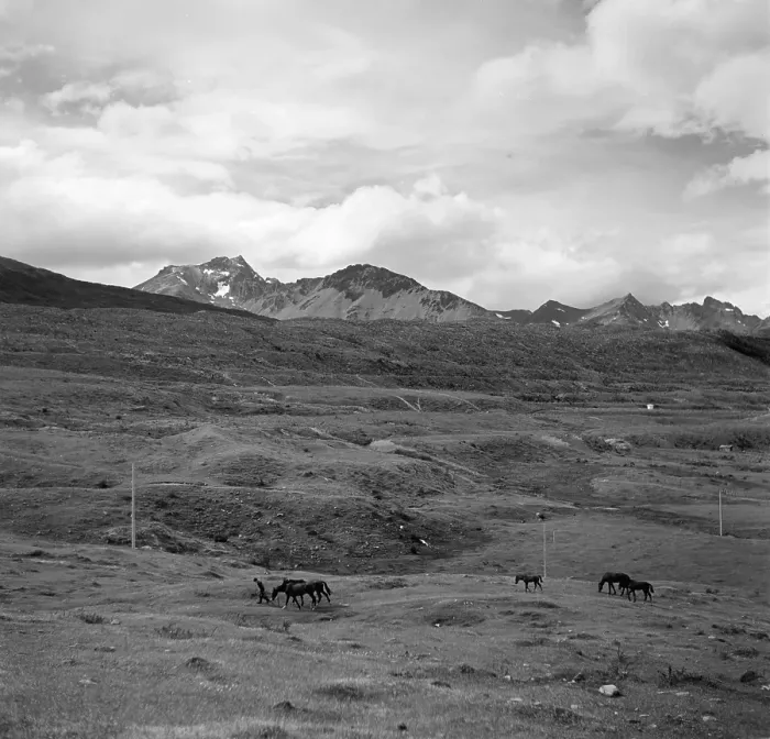Framed Print : Patagonia, Argentina Framed Print : Patagonia, Argentina