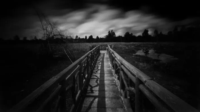 Framed Print : The path