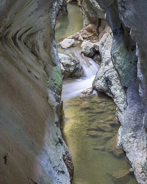 Path system through canyon, La Yecla at Arroyo del Cauce, Santo Domingo de Silos, Castile and Leon, Spain