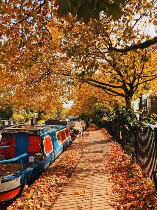Framed Print : Path covered with autumn leaves in Little Venice, London, UK Framed Print : Path covered with autumn leaves in Little Venice, London, UK