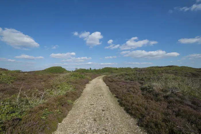 Framed Print : Path through heathland with typical sea clouds, Kaergard Klitplantage, Oksbol, Region of Southern Denmark, Denmark