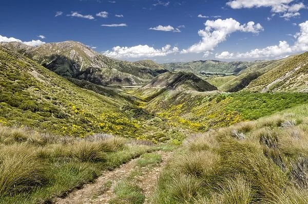 Path across the hills, Craigieburn Range, Porters Pass, Canterbury, South Island, New Zealand, Oceania