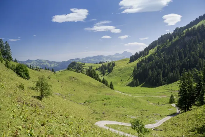 Framed Print : A path leading across lush meadows, Frontal valley, Stoos, Morschach, canton of Schwyz, Switzerland Framed Print : A path leading across lush meadows, Frontal valley, Stoos, Morschach, canton of Schwyz, Switzerland