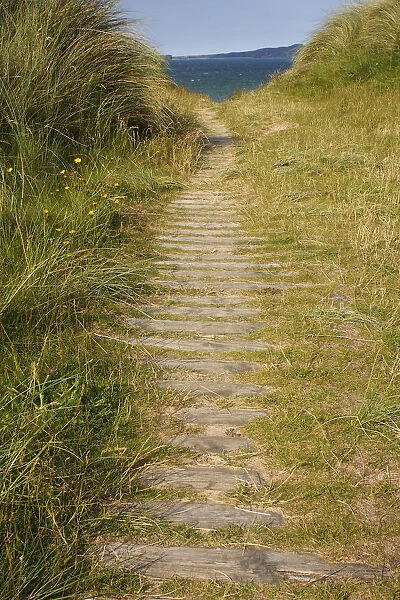 path leading onto tullagh strand on the inishowen peninsula