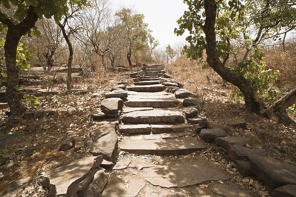 Pathway at Buddhist pilgrimage site, Sanchi, Madhya Pradesh, India