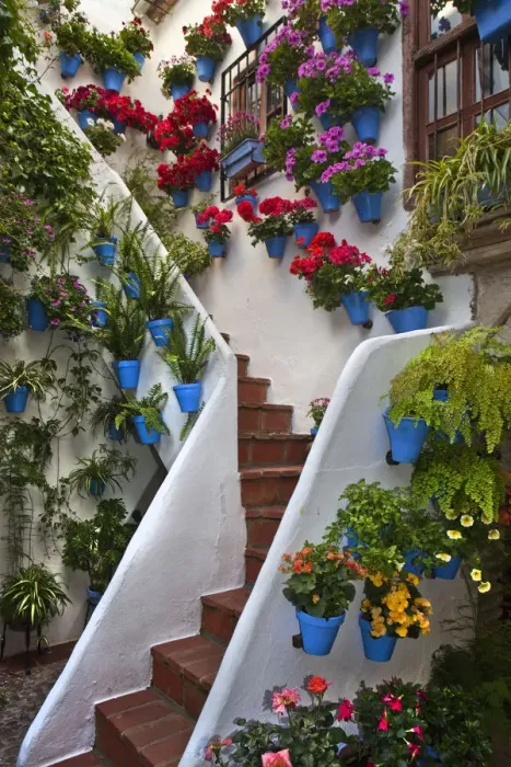 Framed Print : Patio decorated for Cordoba Patio Festival Framed Print : Patio decorated for Cordoba Patio Festival