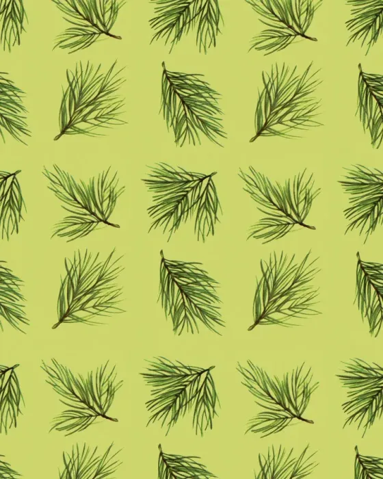 Framed Print : Pattern Framed Print : Pattern