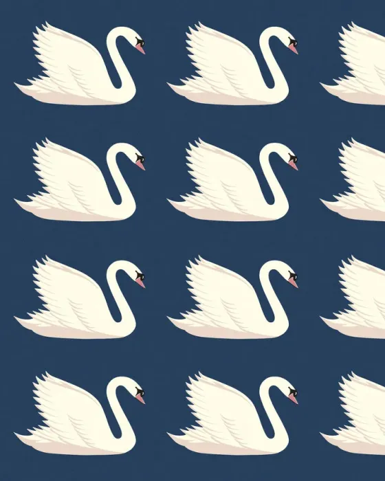 Framed Print : Pattern of Swans Framed Print : Pattern of Swans