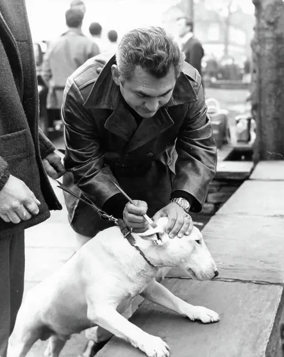 Framed Print : Patton. Makeup man paints patch over the ear of Patton's dog off-camera