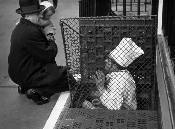 Framed Print : Pavement Chef Framed Print : Pavement Chef