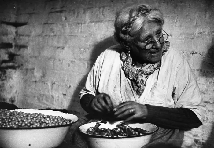 Framed Print : Pea Shelling Framed Print : Pea Shelling