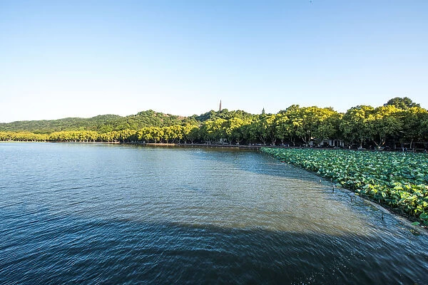 peaceful morning of west lake, Hangzhou, China