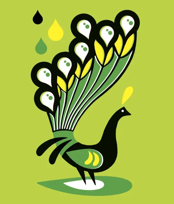 Framed Print : Peacock. http: / / csaimages.com / images / istockprofile / csa_vector_dsp.jpg Framed Print : Peacock. http: / / csaimages.com / images / istockprofile / csa_vector_dsp.jpg
