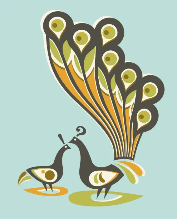 Framed Print : Peacock Couple Framed Print : Peacock Couple