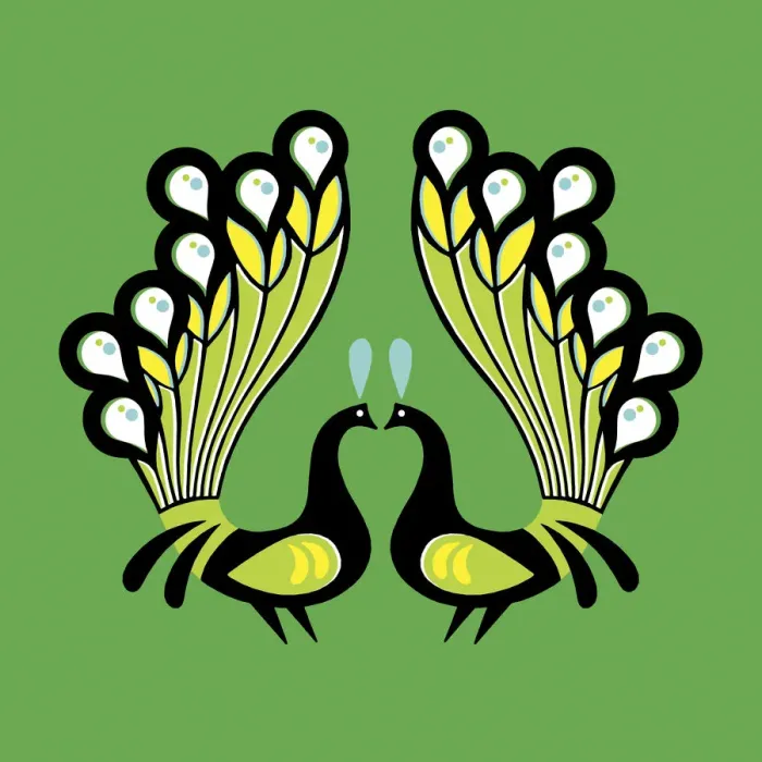 Framed Print : Two Peacocks