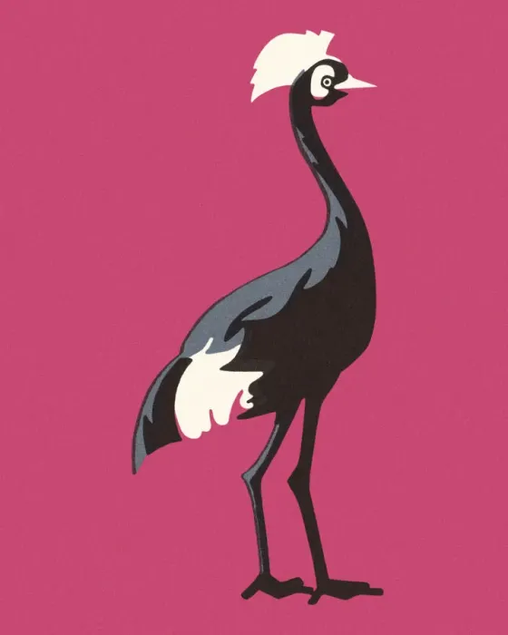Framed Print : Peahen. http: / / csaimages.com / images / istockprofile / csa_vector_dsp.jpg Framed Print : Peahen. http: / / csaimages.com / images / istockprofile / csa_vector_dsp.jpg