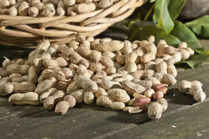 Framed Print : Peanuts -Arachis hypogaea- on a rustic wooden table Framed Print : Peanuts -Arachis hypogaea- on a rustic wooden table