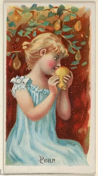 Pear Trade Card 1891