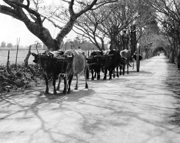 Framed Print : PEASANTS ON COUNTRY ROAD Framed Print : PEASANTS ON COUNTRY ROAD
