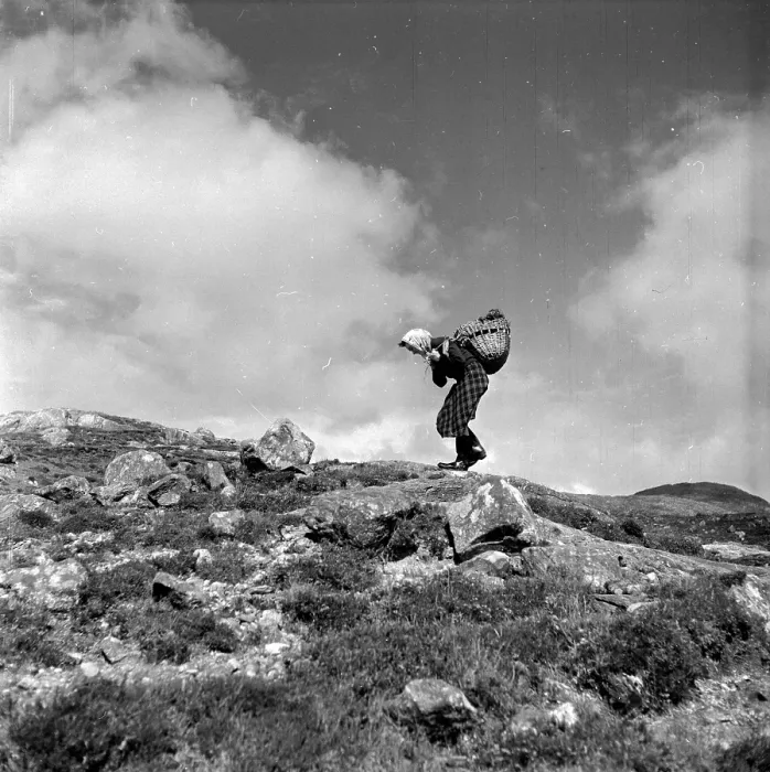 Framed Print : Peat Carrier Framed Print : Peat Carrier