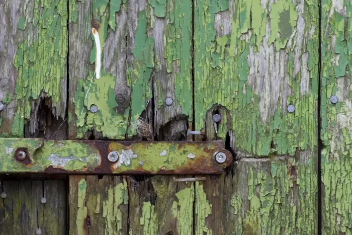 Framed Print : Peeling green paint on wooden boards and a hinge, Faroe Islands, Faroe Islands, Denmark Framed Print : Peeling green paint on wooden boards and a hinge, Faroe Islands, Faroe Islands, Denmark