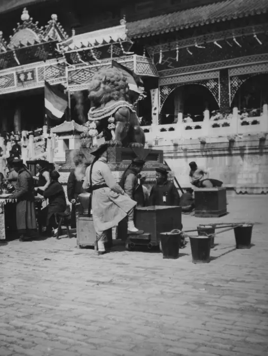 Framed Print : Peking Lion Framed Print : Peking Lion