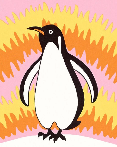 Penguin. http: /  / csaimages.com / images / istockprofile / csa_vector_dsp.jpg