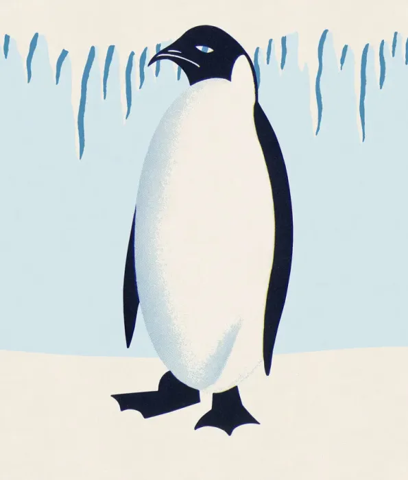 Framed Print : Penguin Framed Print : Penguin