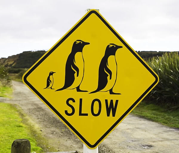 Penguin crossing sign on country road