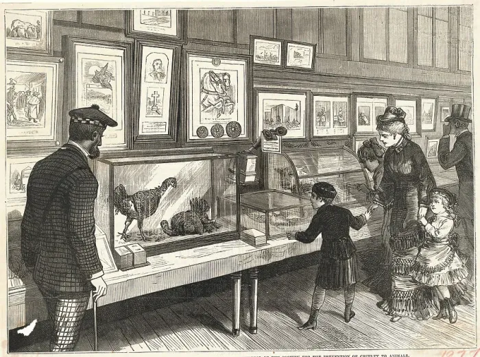 Framed Print : People Attending Animal Exhibition Framed Print : People Attending Animal Exhibition