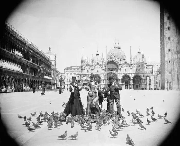 Framed Print : People Feeding Pigeons Framed Print : People Feeding Pigeons