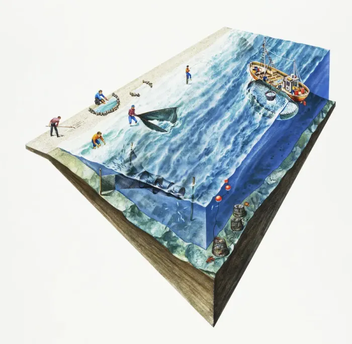 Framed Print : People fishing off shoreline and in sea, using cockle rake, net trap, rock traps, net skimming, pole fishing using trawlers