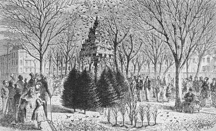 Framed Print : People Gathering Around Bird Houses at Madison Park Framed Print : People Gathering Around Bird Houses at Madison Park