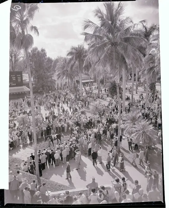 Framed Print : People Gathering at Hialeah Park Framed Print : People Gathering at Hialeah Park