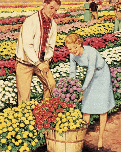 People Harvesting Flowers