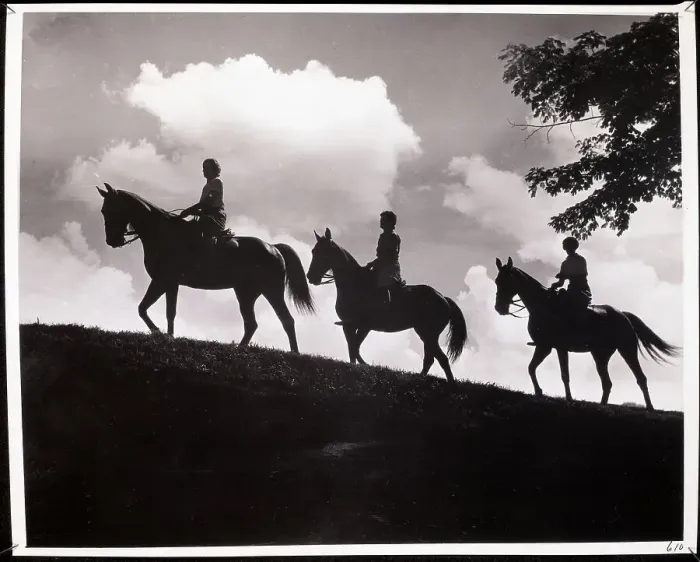 Framed Print : People On Horses Ride On Trail / Silhouett Framed Print : People On Horses Ride On Trail / Silhouett