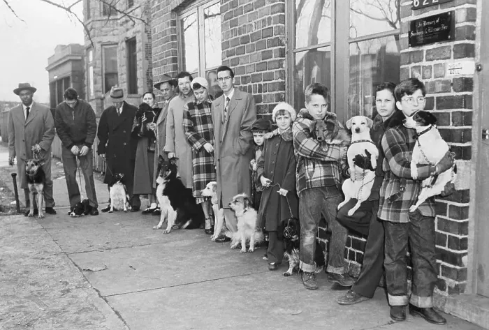 Framed Print : People Line Up To Get Dogs Rabies Shots Framed Print : People Line Up To Get Dogs Rabies Shots