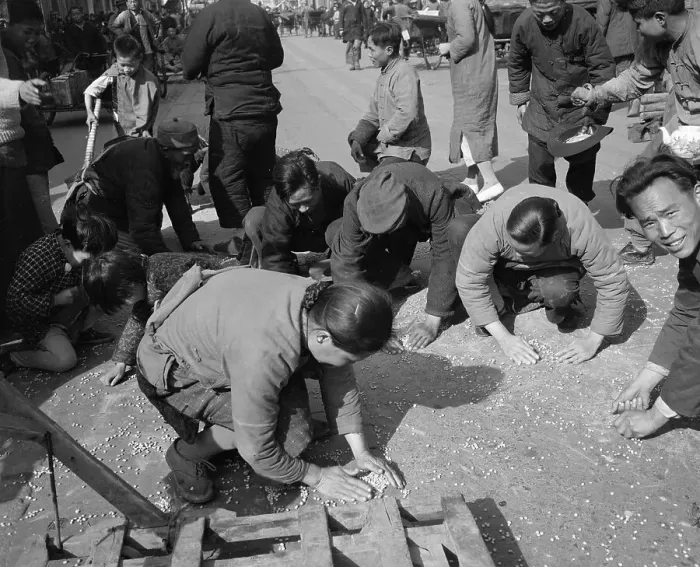 Framed Print : People Picking Up Beans In Street Framed Print : People Picking Up Beans In Street