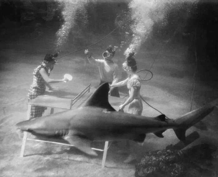 Framed Print : People Playing Ping Pong Under Water Framed Print : People Playing Ping Pong Under Water