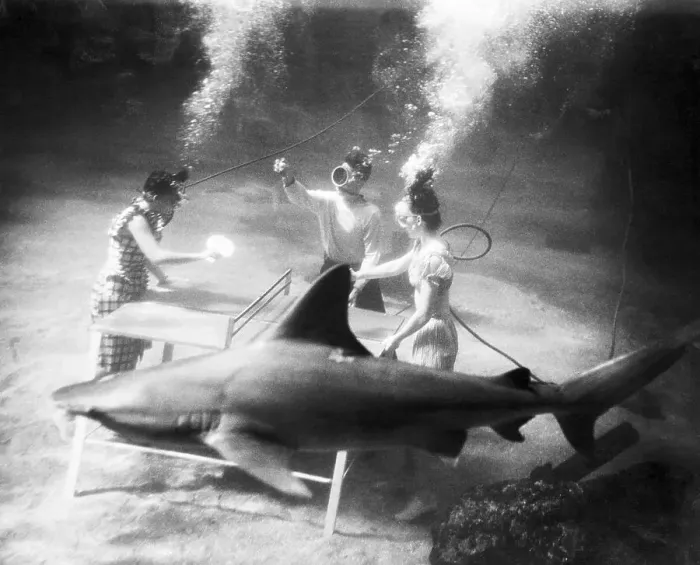 Framed Print : People Playing Ping Pong Under Water Framed Print : People Playing Ping Pong Under Water