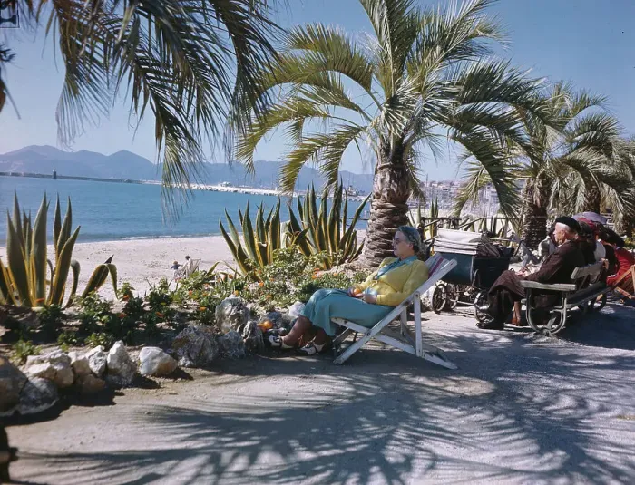 Framed Print : People Relaxing in Palm Tree Shade Framed Print : People Relaxing in Palm Tree Shade