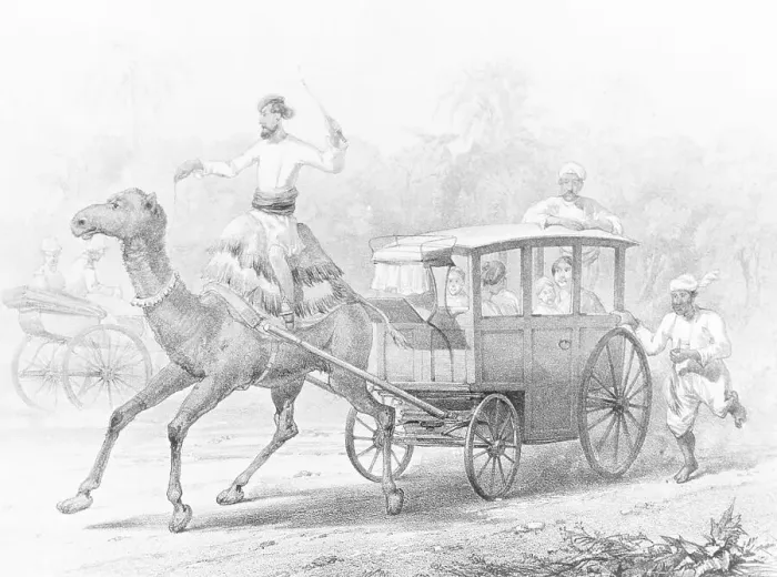 Framed Print : People Riding in Camel Drawn Coach Framed Print : People Riding in Camel Drawn Coach