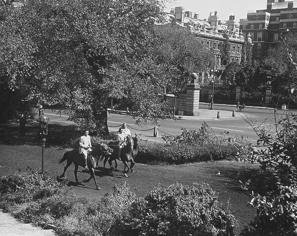 People riding horses in park (B&W), elevated view