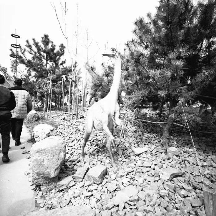 Framed Print : People visiting jurassic park, (rear view), (B&W)
