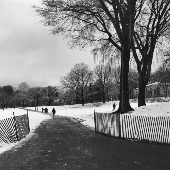 Framed Print : People walking on a path through a snow covered park Framed Print : People walking on a path through a snow covered park