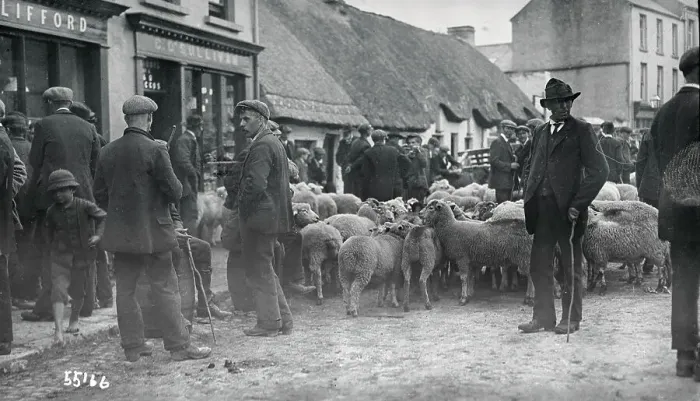 Framed Print : People Wandering Through a Sheep Market Framed Print : People Wandering Through a Sheep Market
