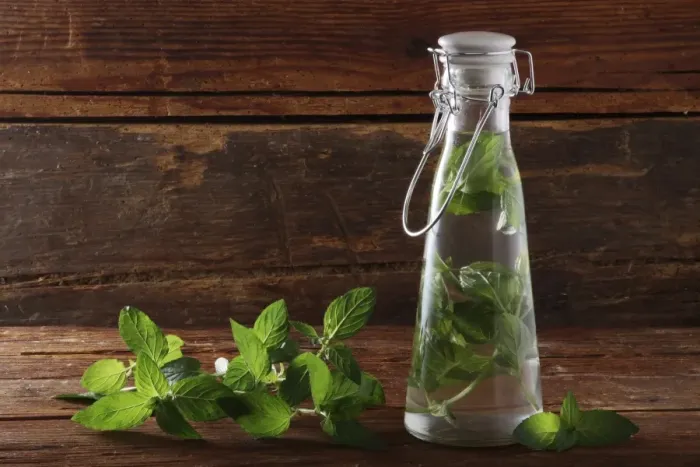 Framed Print : Pepperming leaves (Mentha piperita), preparation for making medicine or liquor, on a rustic wooden underground Framed Print : Pepperming leaves (Mentha piperita), preparation for making medicine or liquor, on a rustic wooden underground