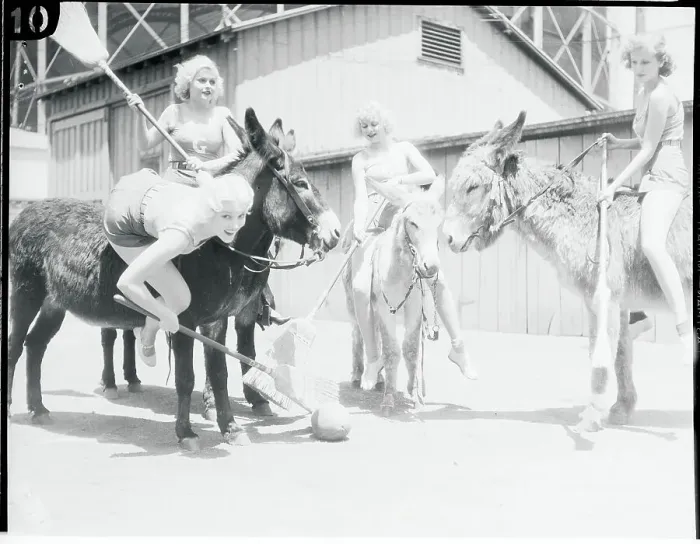 Framed Print : Performer Lucille Ball and Peers Practicing for Polo Framed Print : Performer Lucille Ball and Peers Practicing for Polo