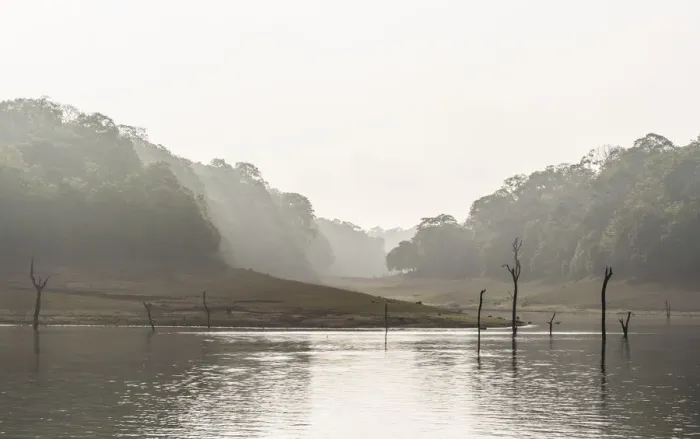 Framed Print : Periyar dam and jungle in the mist, Thekkadi, Tamil Nadu, India Framed Print : Periyar dam and jungle in the mist, Thekkadi, Tamil Nadu, India